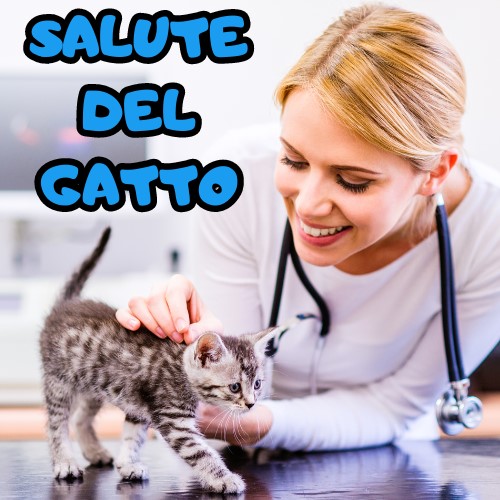 Salute Gatto