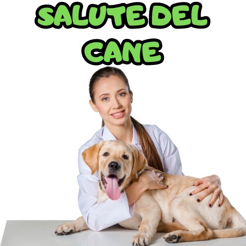 Salute Cane