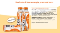 Mgk Vis Lemonade Integratore Alimentare Gusto Limone 15  15 buste