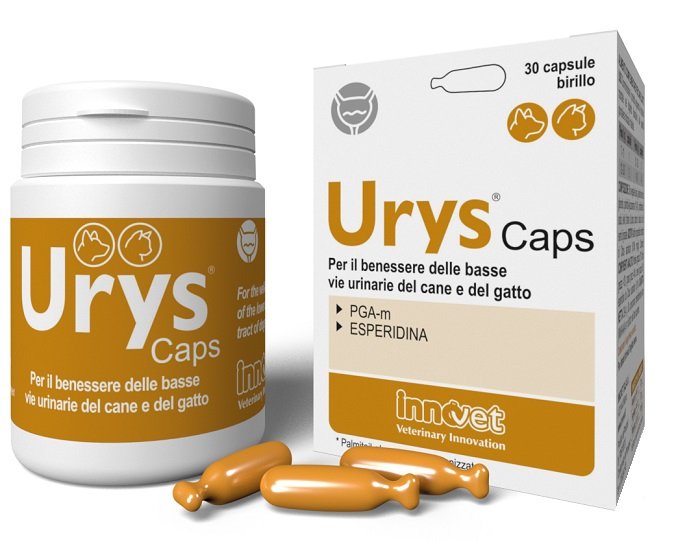 Confezione di Innovet Urys 30 capsule, prodotto veterinario di Innovet