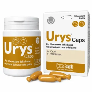 Confezione di Innovet Urys 30 capsule, prodotto veterinario di Innovet