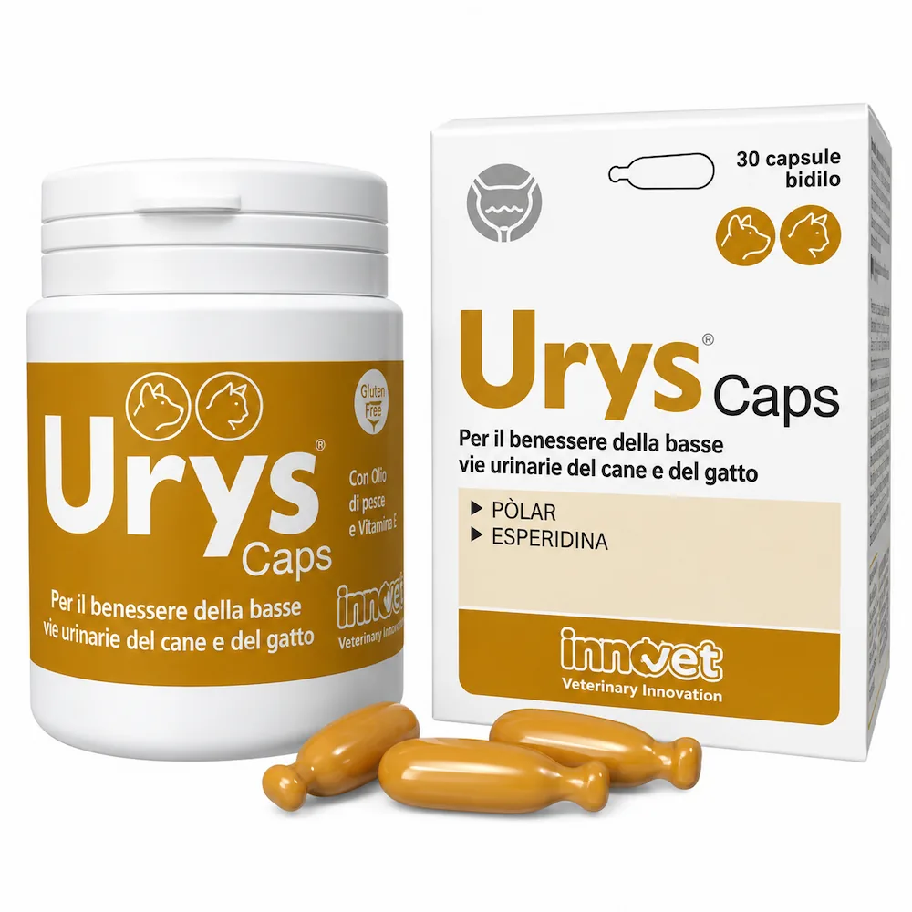 Confezione di Innovet Urys 30 capsule, prodotto veterinario di Innovet